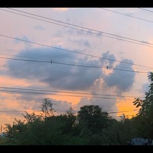 Meet your Posher, Edith